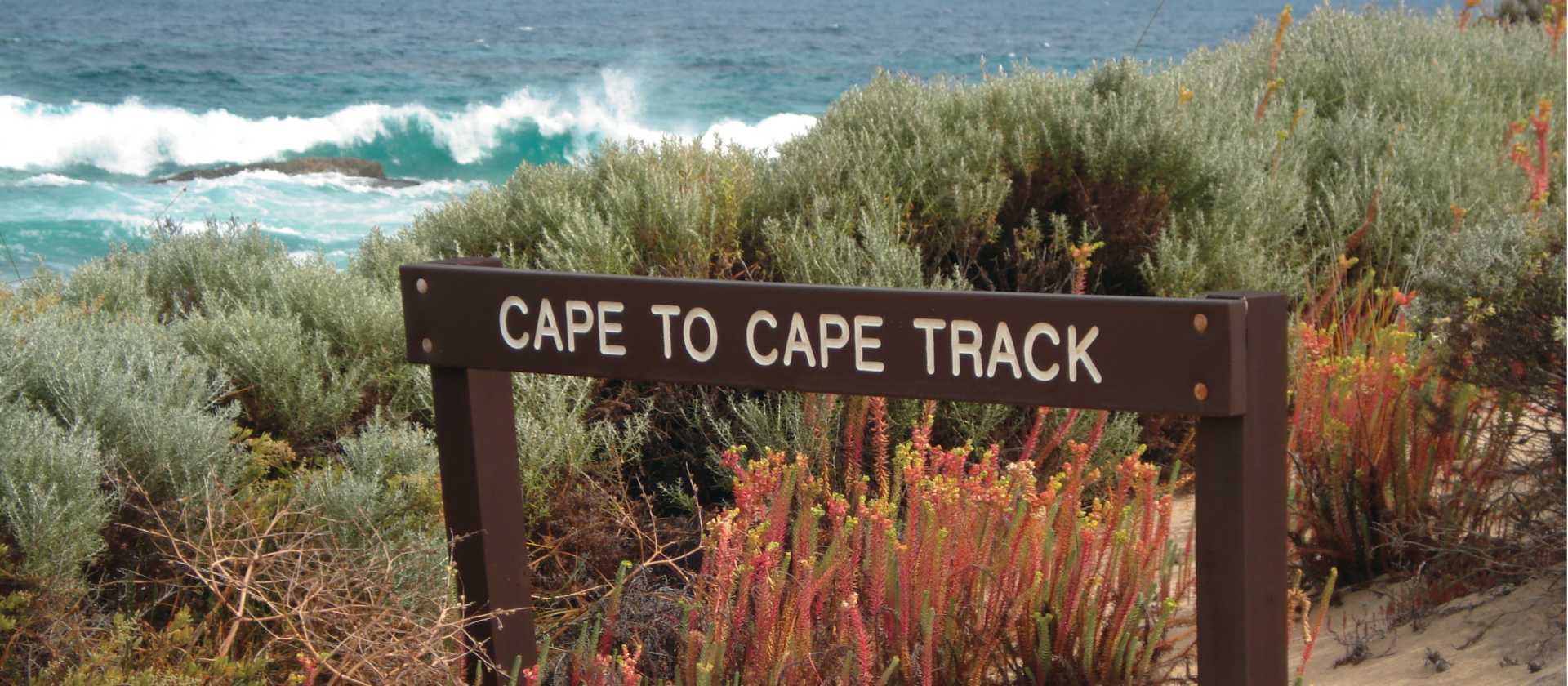The rugged coastal landscape on our Cape to Cape Trek | Paula Wade