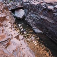 The spectacular gorges and swimming holes in Karijini National Park