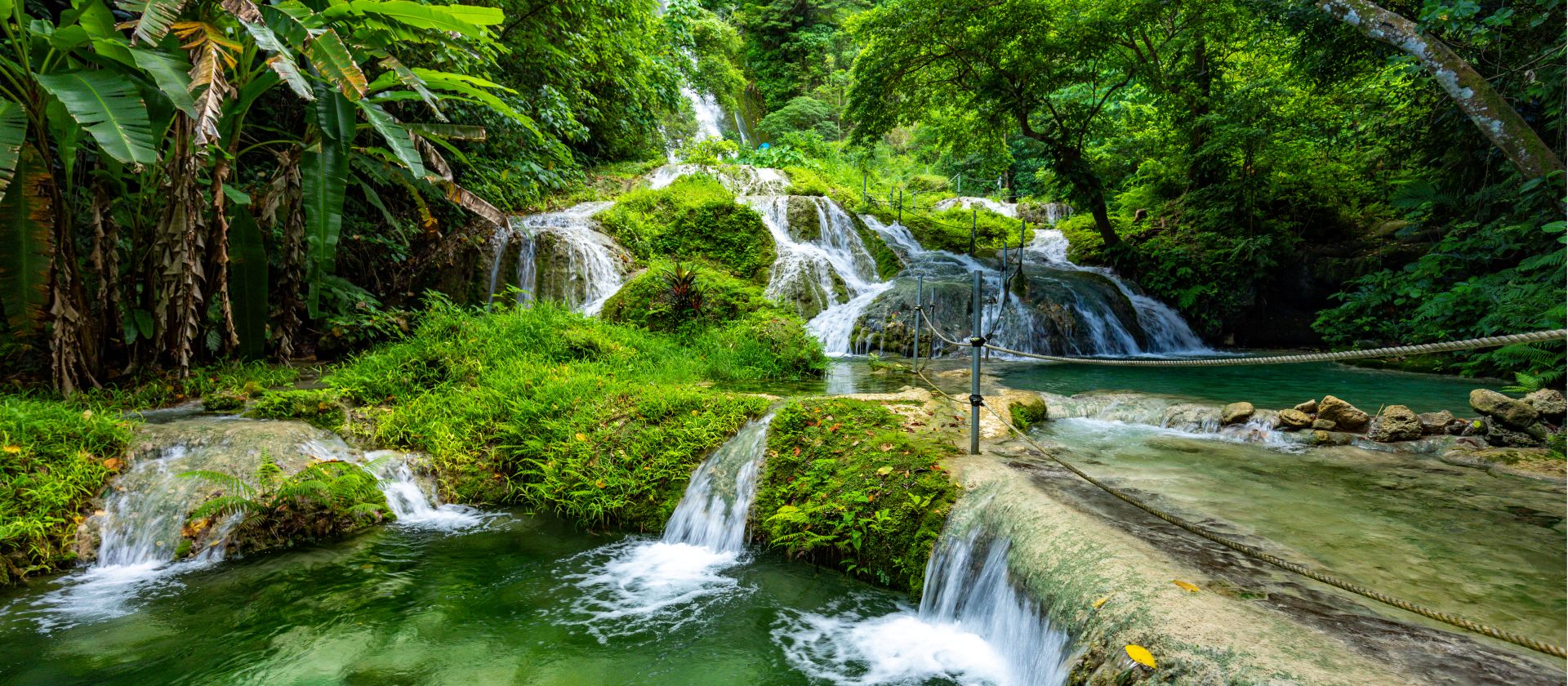Lush tropical rain forest and idyllic waterfalls in Vanuatu | Martin Valigursky
