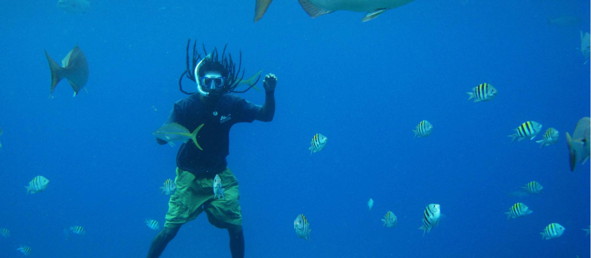 Sharing with waters with the local marine life on a snorkel activity