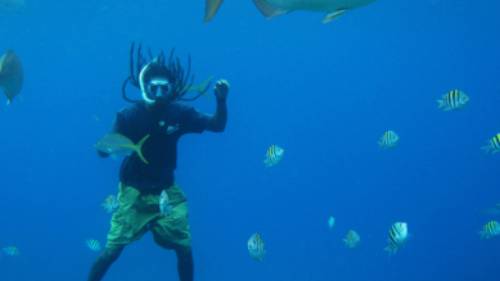 Sharing with waters with the local marine life on a snorkel activity