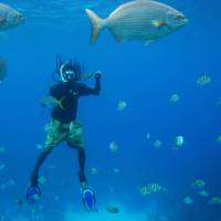 Sharing with waters with the local marine life on a snorkel activity