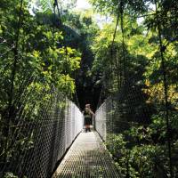 Arenal hanging bridges, Costa Rica | Sophie Panton