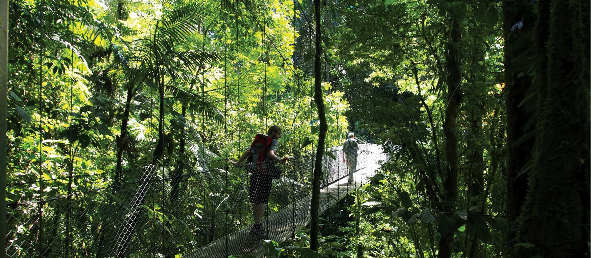 Hanging bridges nature walk in Arenal | Sophie Panton