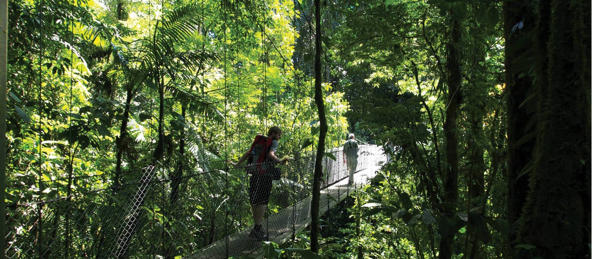 Hanging bridges nature walk in Arenal | Sophie Panton