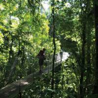 Hanging bridges nature walk in Arenal | Sophie Panton
