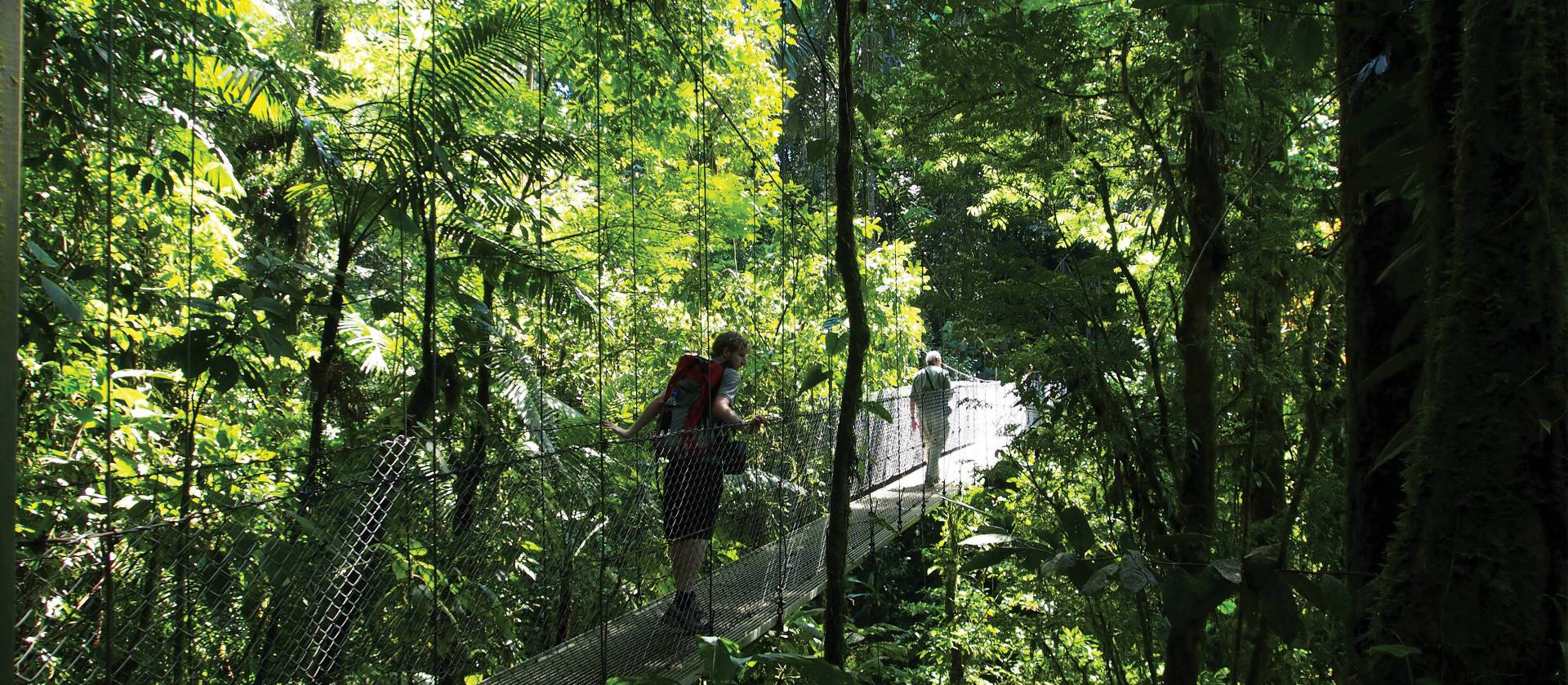 Hanging bridges nature walk in Arenal | Sophie Panton