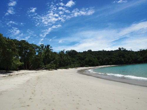 Pristine beach in Manuel Antonio national park, Costa Rica&#160;-&#160;<i>Photo:&#160;Sophie Panton</i>