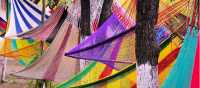 Colourful hammocks on display in the lively markets
