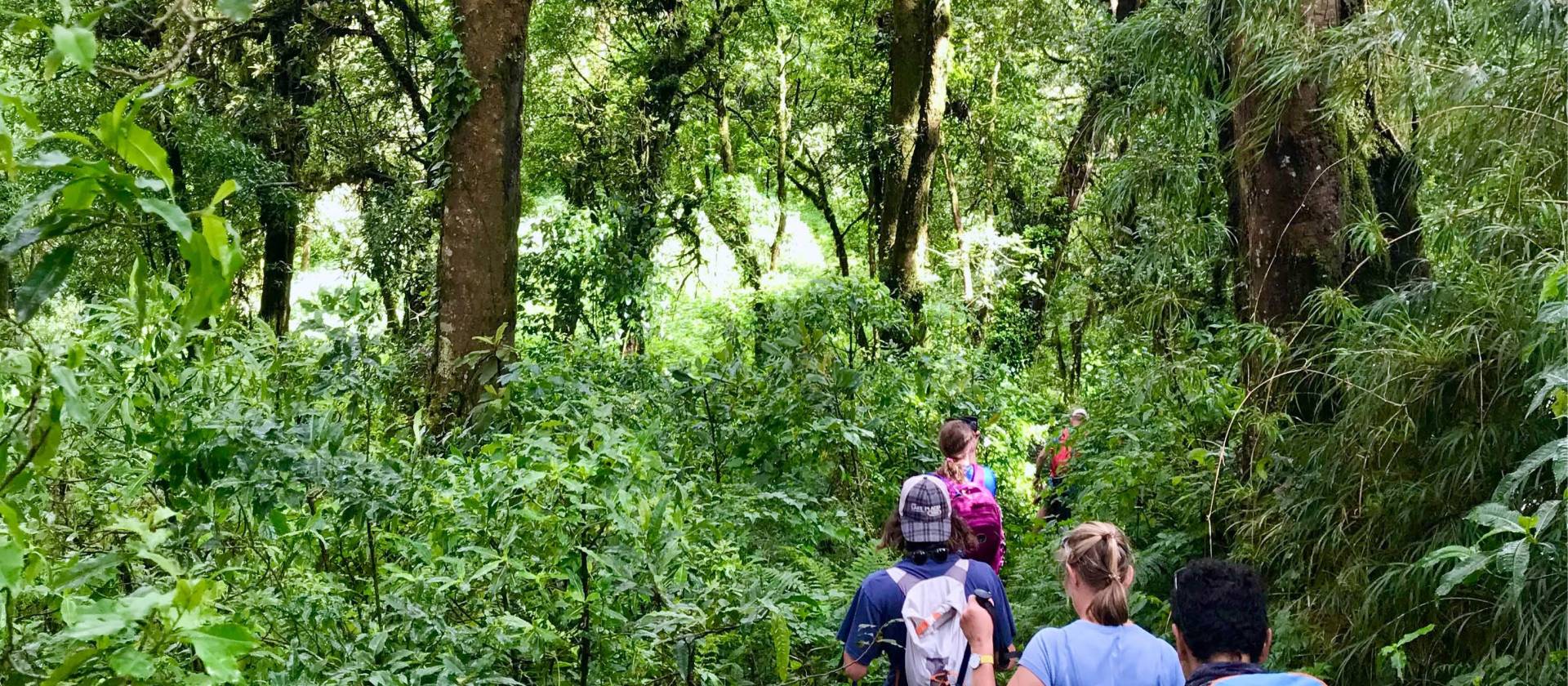 Students experiencing hiking in Guatemala