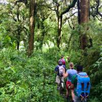 Students experiencing hiking in Guatemala