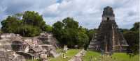 Historical Mayan ruins in the Tikal archeological site