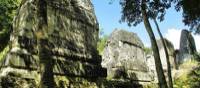 The mossy jungle paths and majestic Mayan ruins at Tikal