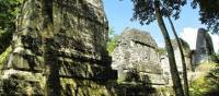 The mossy jungle paths and majestic Mayan ruins at Tikal