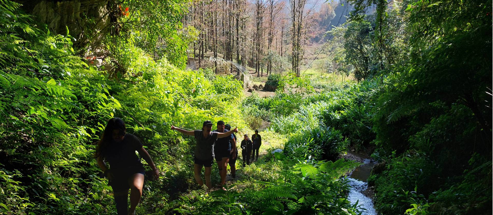 Hiking through the pristine paths in the communities in the mountains of Oaxaca