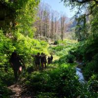 Hiking through the pristine paths in the communities in the mountains of Oaxaca