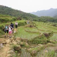 School kids trekking in Vietnamese countryside | Nick Hardcastle