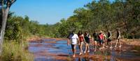 Students hiking in Kakadu National Park | Tourism NT/Shaana McNaught