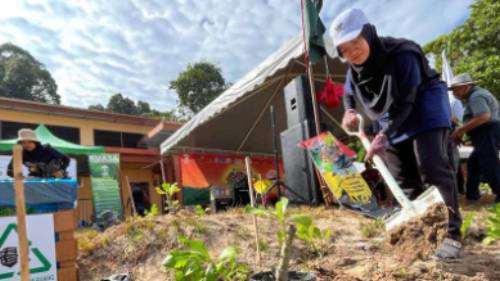 Tree planting is a critical part of our coastal restoration work