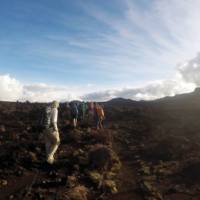 School group trekking on Mt Kilimanjaro | Eva Moon