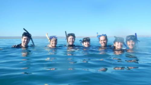 Happy students swimming with the whale sharks in Bajas