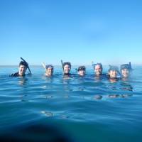 Happy students swimming with the whale sharks in Bajas