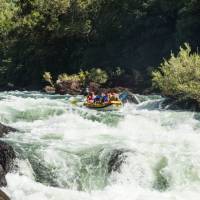 The Barron River is a great rafting experience for beginners as well as experienced people, Far North Queensland | Tourism and Events Queensland