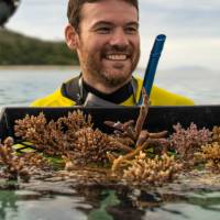 Coral Watch conservation service program, Far North Queensland | Tourism and Events Queensland