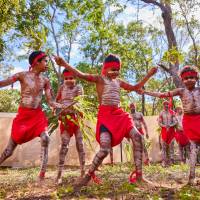 Indigenous Dance Festival, Far North Queensland | Tourism and Events Queensland