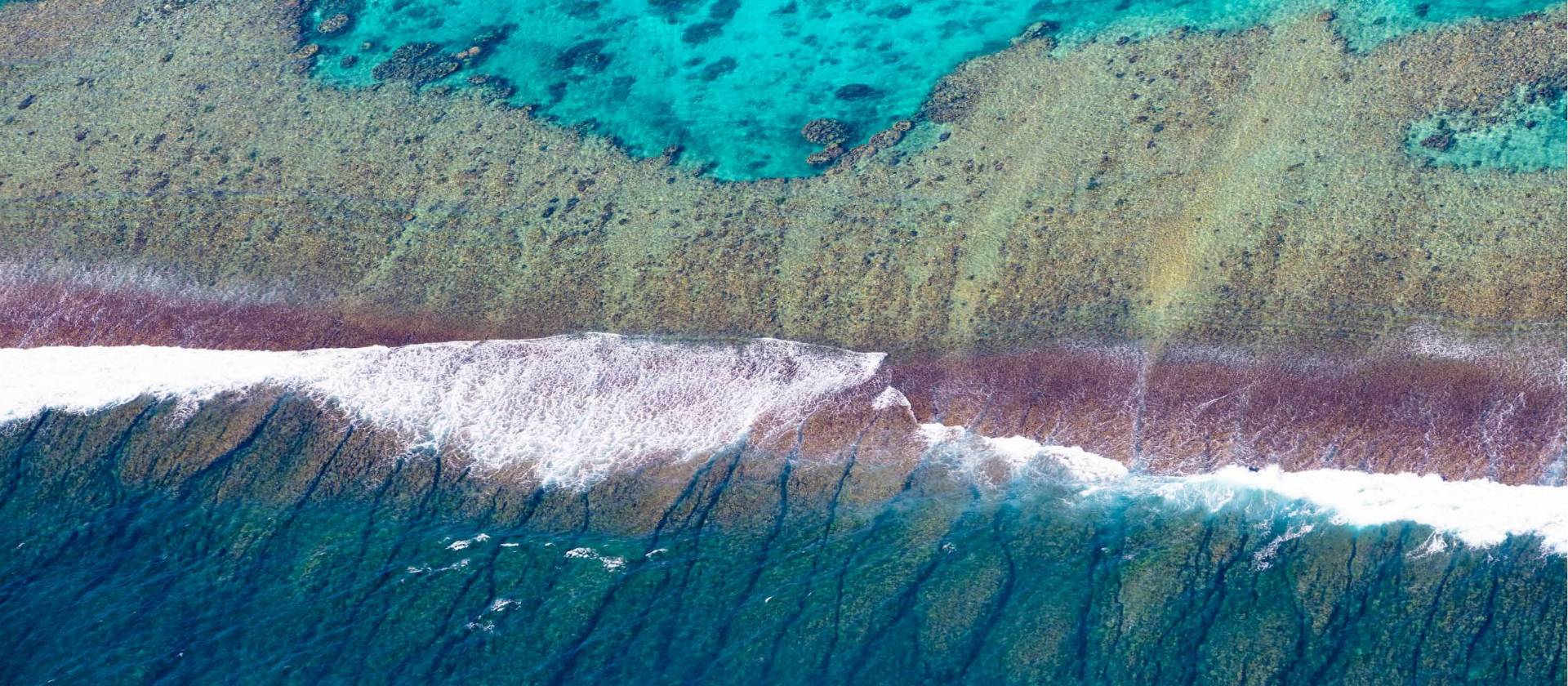 Students snorkel along Ningaloo Reef off the coast of Exmouth | Tourism Western Australia