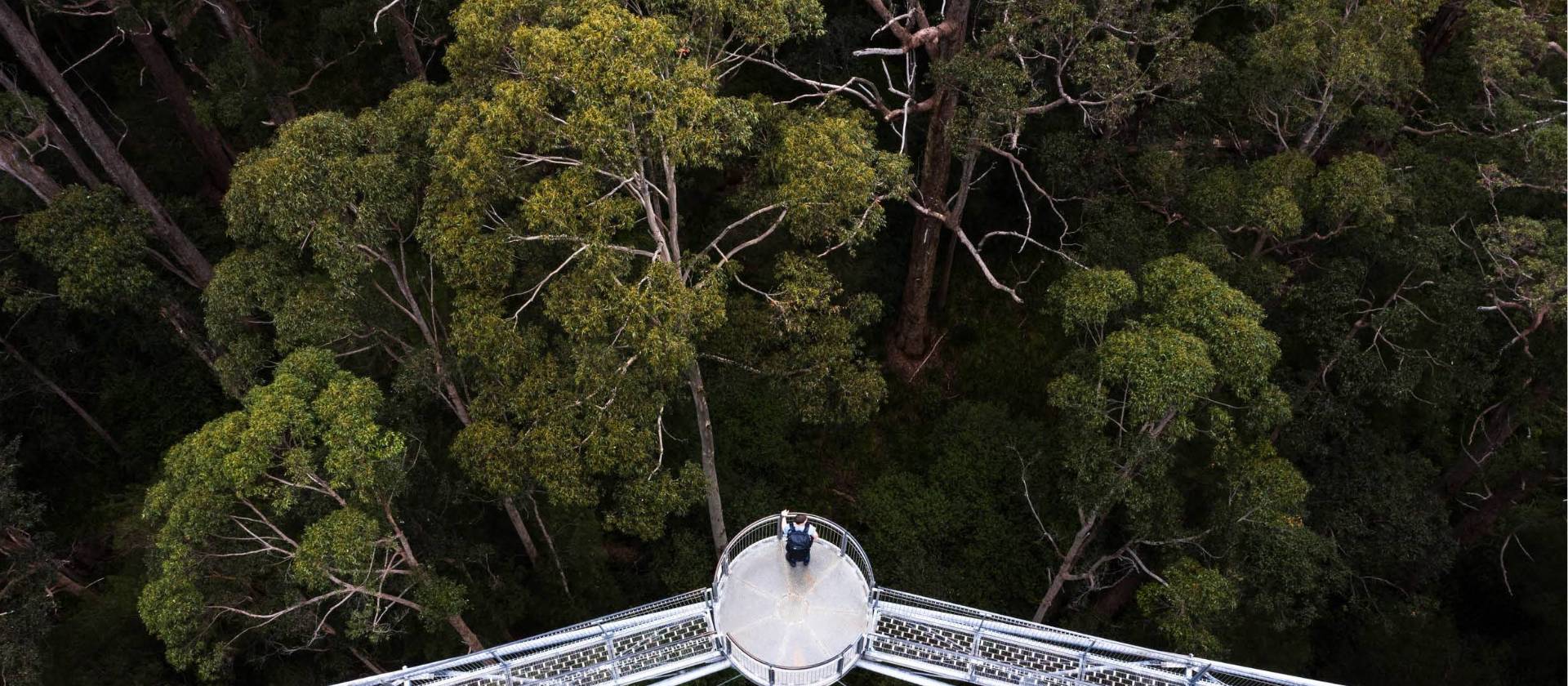 Stunning views on the Valley of the Giants tree top walk | Tourism Western Australia
