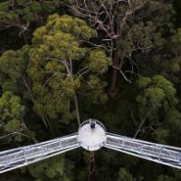Stunning views on the Valley of the Giants tree top walk | Tourism Western Australia