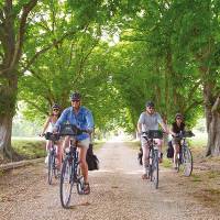 Cycling in Provence, France |  <i>Ewen Bell</i>