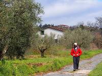 Walking along an original section of the Via Cassia near Montefiasconi |  <i>Brad Atwal</i>