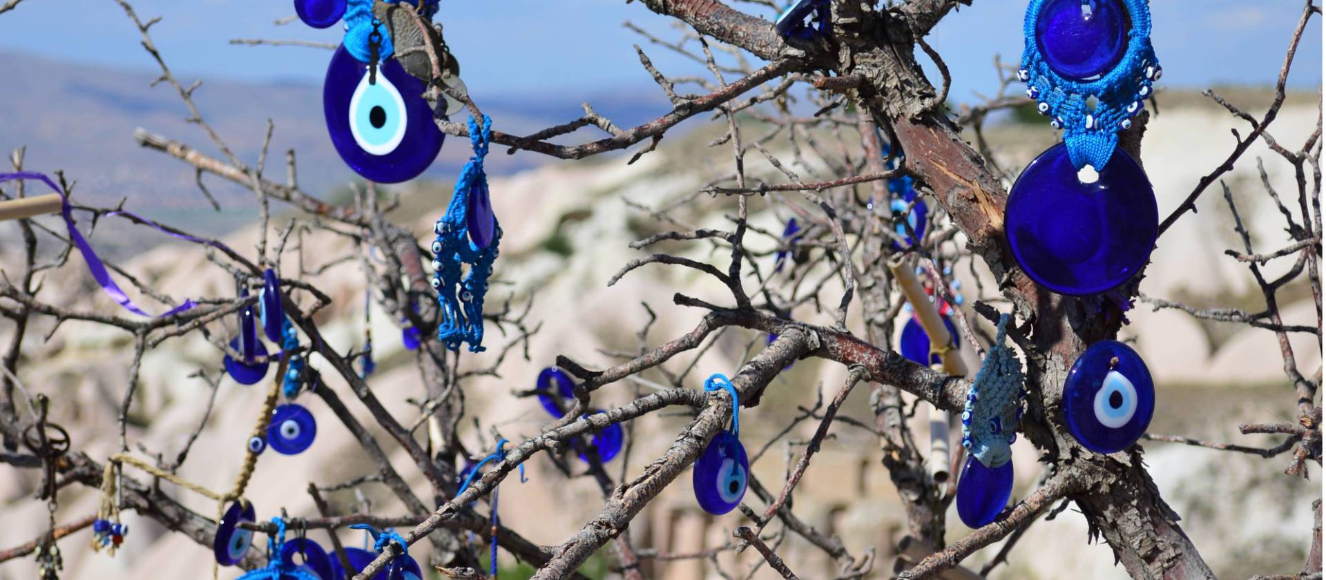 A tree full of evil-eye charms | Erin Williams
