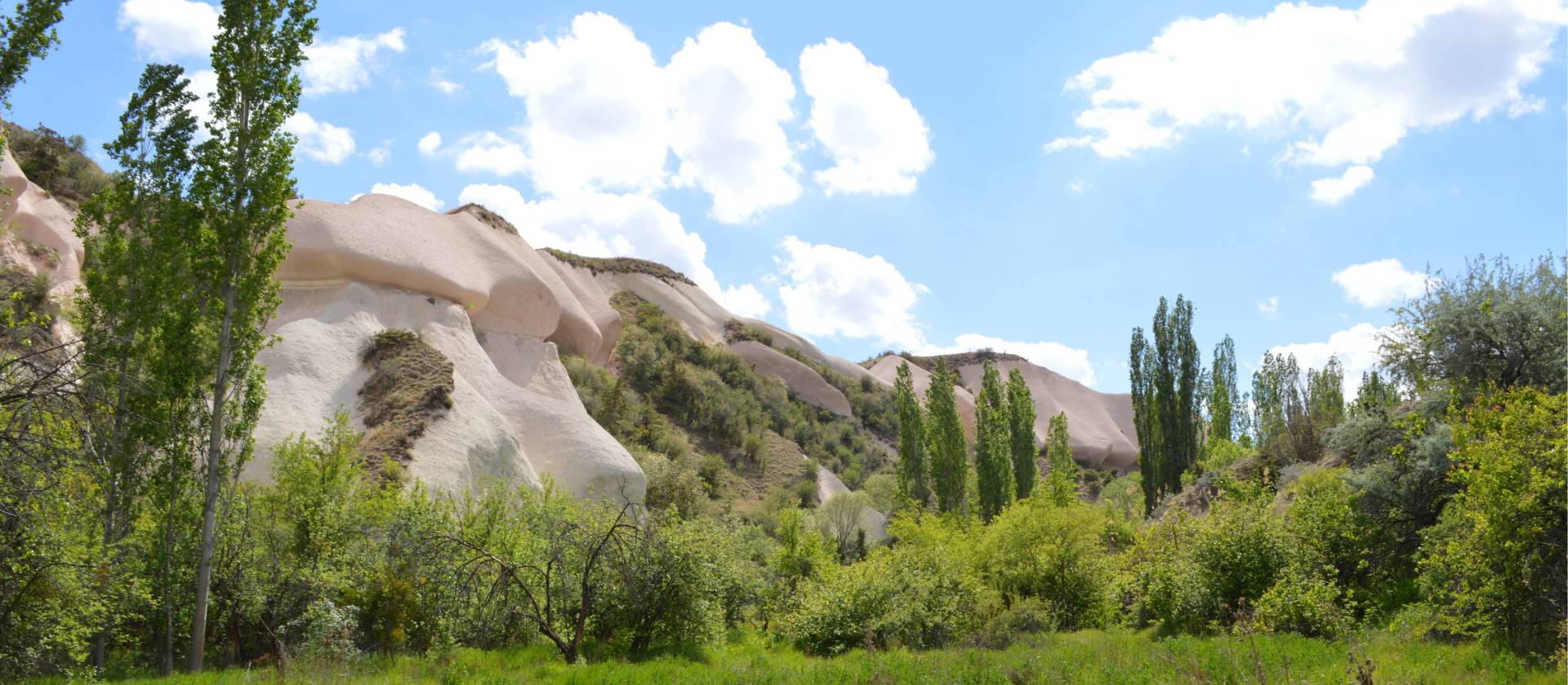 The lush surroundings at the bottom of a valley in Cappadocia | Erin Williams