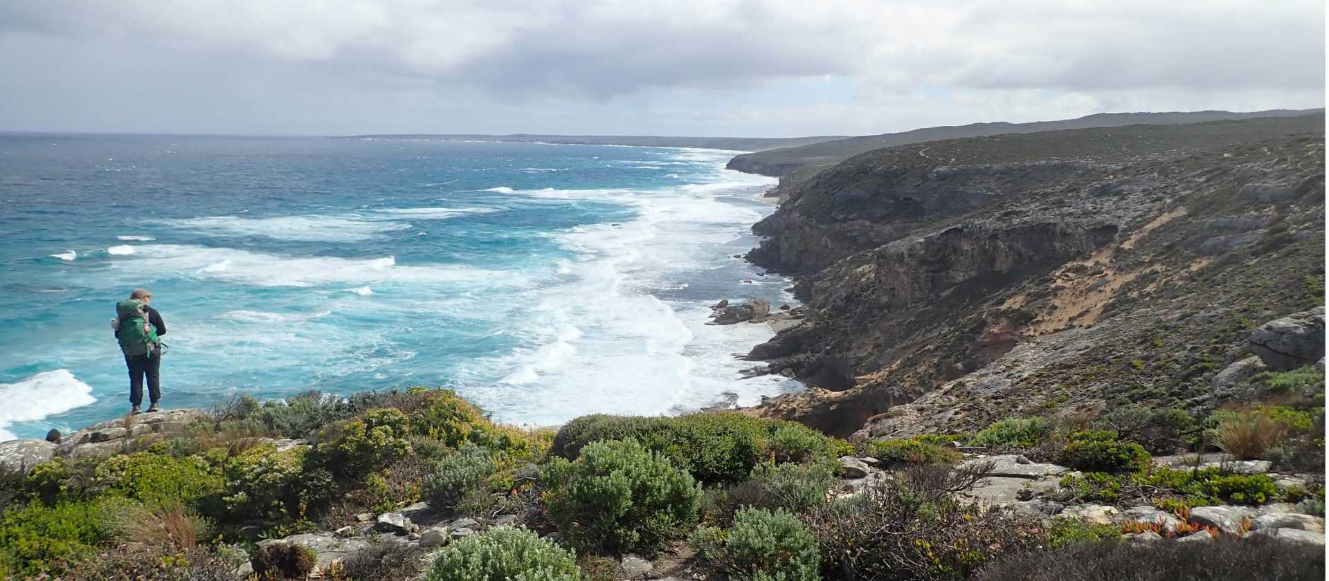 Walker on Kangaroo Island | Holly-Mae Bedford