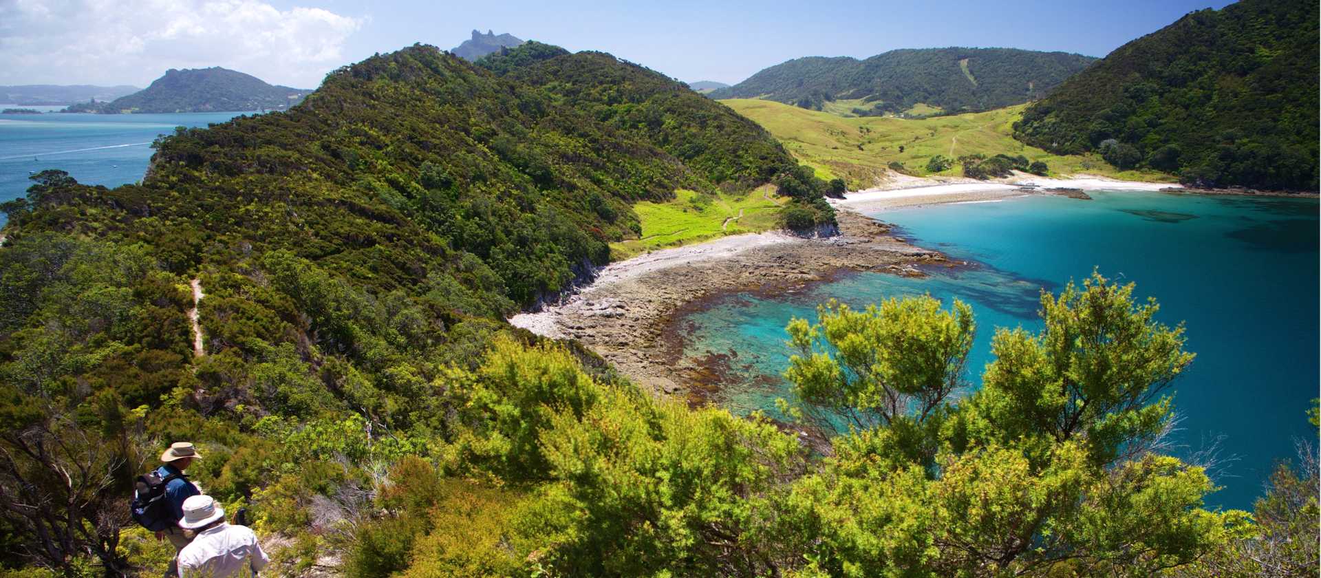 Hiking in the Bay of Islands | Malcolm West