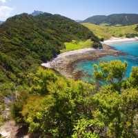Hiking in the Bay of Islands | Malcolm West