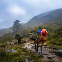 Druk Path Trek, Bhutan | Lachlan Gardiner