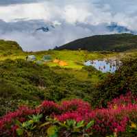 Druk Path Trek, Bhutan | Lachlan Gardiner