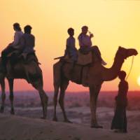 Camel riding at sunset, India | Andrew Thomasson