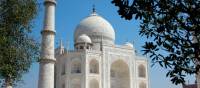 Intricate designs of the Taj Mahal from within the gardens | Rachel Imber