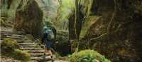 Trekking the lush lower trails of the Annapurna's | Mark Watson