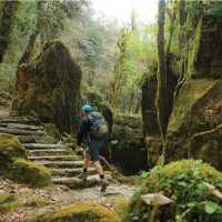 Trekking the lush lower trails of the Annapurna's | Mark Watson