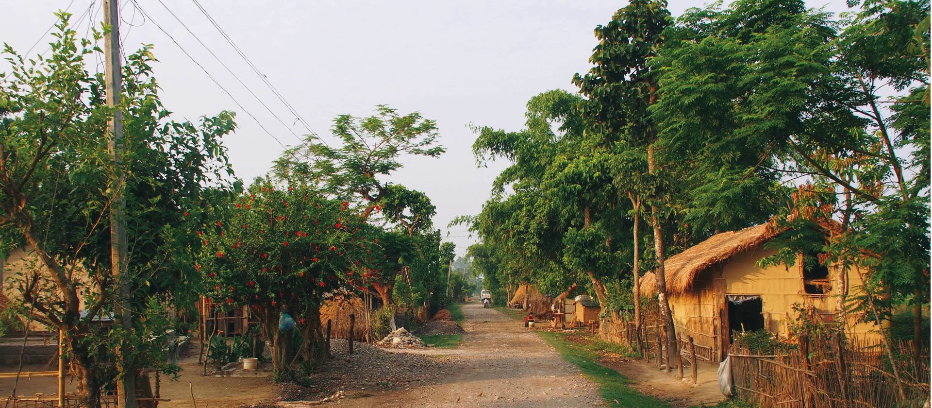 Views down a local Chitwan street | Zac Kostos