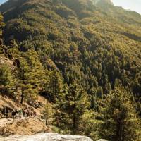 The forested hills of the lower Khumbu | Mark Tipple