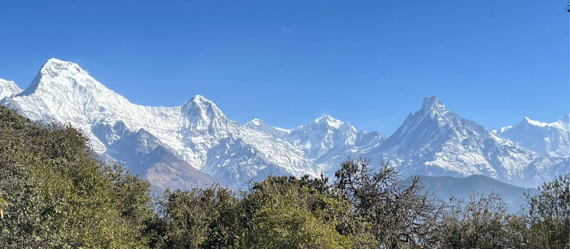 From the ridgelines in the Annapurna region we enjoy the complete panorama of the Annapurna massif and Dhaulagiri | Sue Badyari