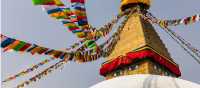 Visit Bodhinath Stupa | Lachlan Gardiner