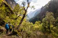 Trekking the foothills in Western Nepal | Lachlan Gardiner